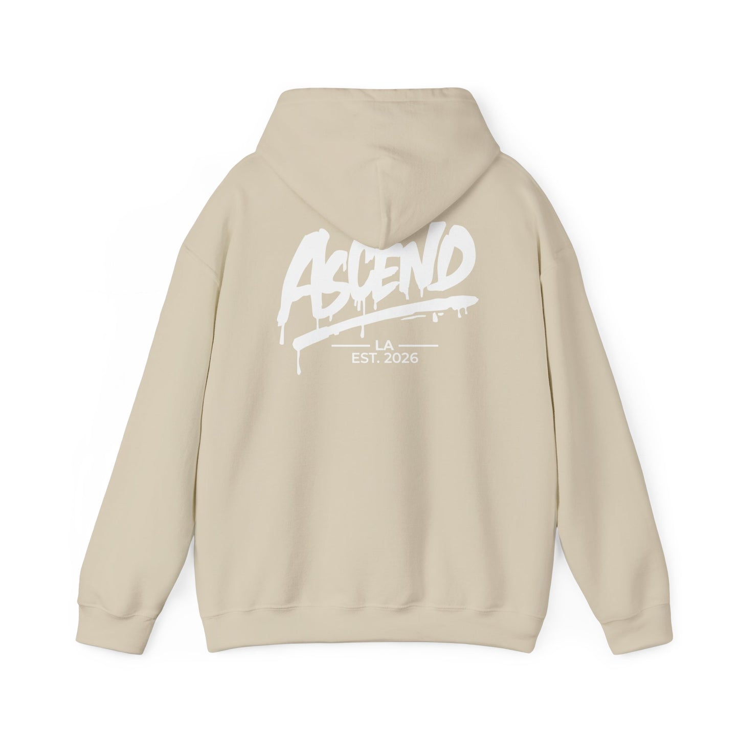 Ascend Graffiti Hoodie